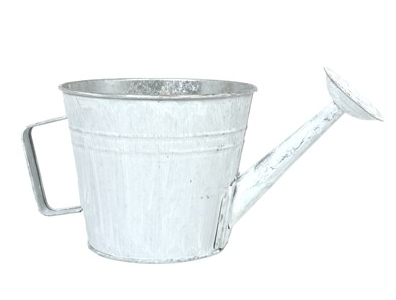 GS Watering Can Planter