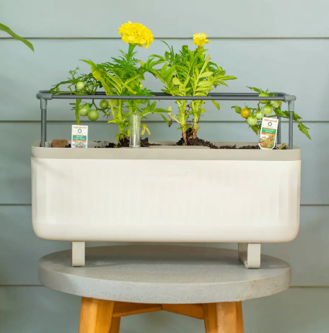 vego self watering planter Vego EZ Self-Watering Herb Planter Box with Trellis – Prairie Blossom Nursery