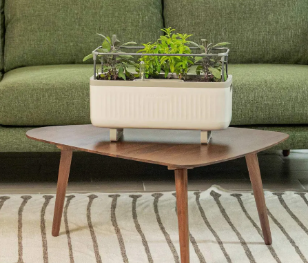 vego self watering planter Vego EZ Self-Watering Herb Planter Box with Trellis