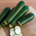 Zucchini 'Dark Green' Summer Squash