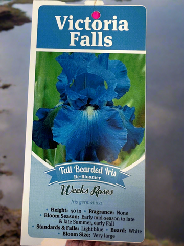 Iris_Victoria Falls