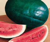 Watermelon 'Black Diamond'