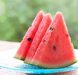 Watermelon 'Charleston Gray'