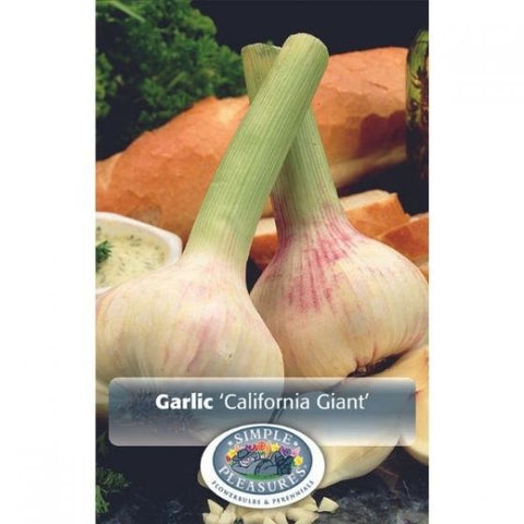 California Giant Garlic_per bag