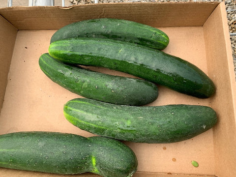 cucumbers