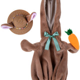 Giddy the Goose Outfit Program w Display, Occasions