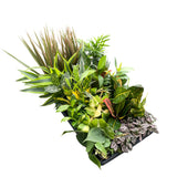 Grower's Choice_Houseplant Assortment