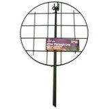 LL_Support & Grow Through Rings