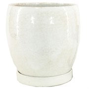 MCD_ Egg Pots Smooth w/ Saucers