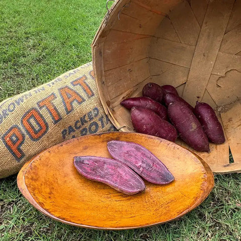 Purple Delight Sweet Potato Slip