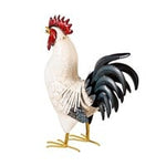 Evergreen_ Metal Rooster_with light feathers