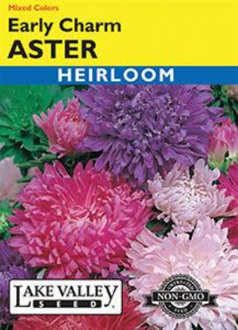ASTER EARLY CHARM MIXED COLORS