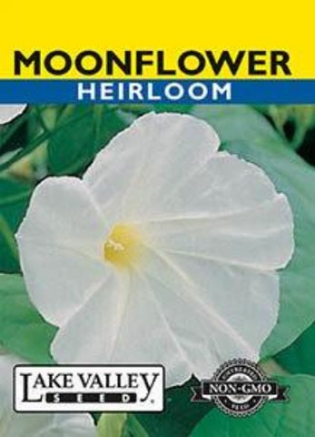 MOONFLOWER WHITE Heirloom