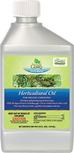 NG Horticultural Oil 16 oz