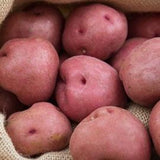 Farmer's Market Red New Potatoes / 3 lb. bag