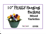 10 inch Pansy Hanging Basket