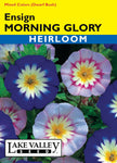 MORNING GLORY ENSIGN MIXED COLORS HEIRLOOM