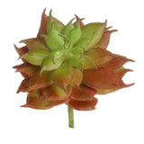 Artificial_ Small Succulent Red -HZ29