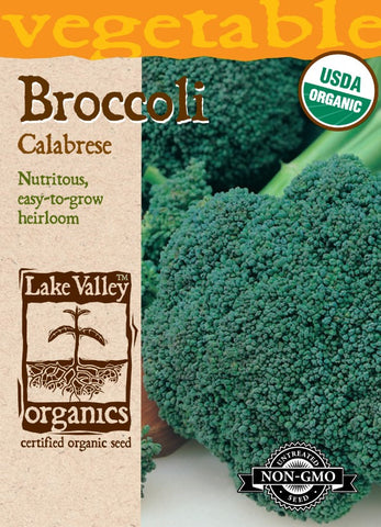 Organic Broccoli Calabrese Heirloom