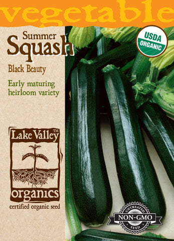 Organic Squash Summer Black Beauty Heirloom