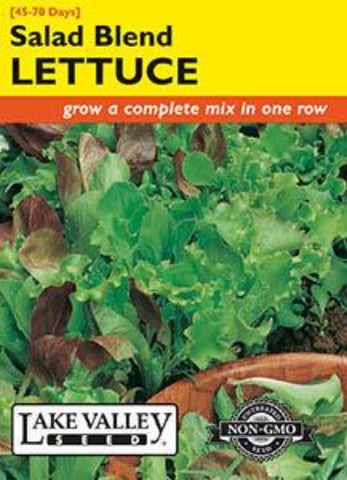 Lettuce Salad Blend