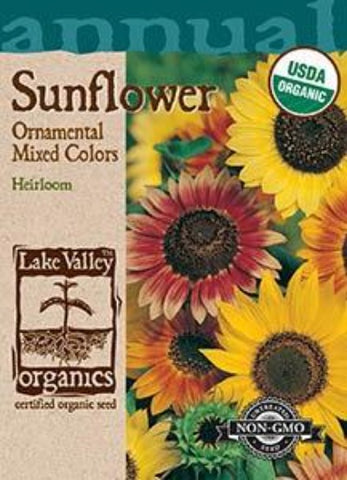 Organic Sunflower Ornamental Dwarf Mixed Colors