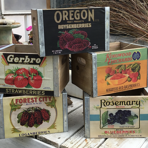 PHC Assorted Berry Boxes