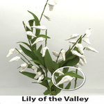 GF FX206 Tall Lily of the Valley White