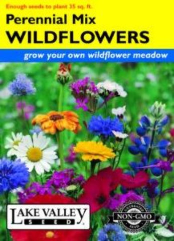 Wildflowers Perennial Mix