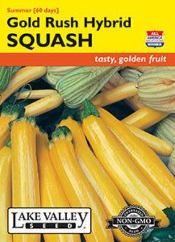 Squash Summer Gold Rush Hybrid