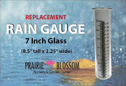 OSW 7 inch Replacement Glass Rain Gauge