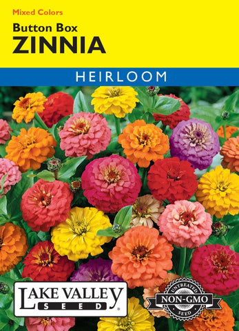 Zinnia Button Box Mixed Colors Heirloom