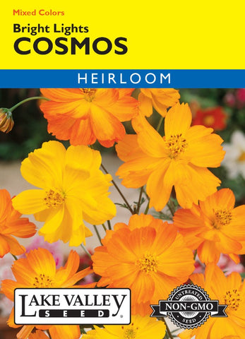 Cosmos Bright Lights Mixed Colors Heirloom