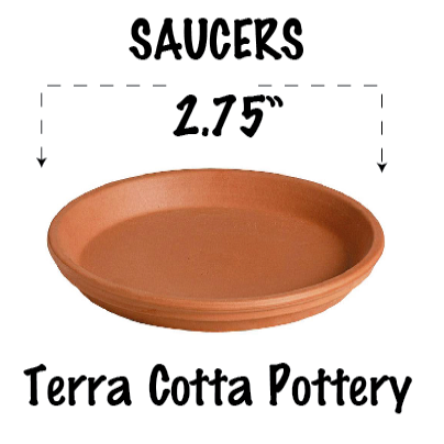 Deroma 9.8 Terra Cotta Clay Saucer - Huckleberry Knob Nursery
