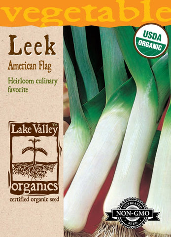 Organic Leek American Flag Heirloom