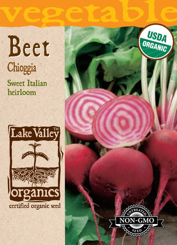 Organic BEET CHIOGGIA (BICOLOR, RED and WHITE) Heirloom