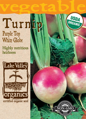 Organic Turnip Purple Top White Globe Heirloom