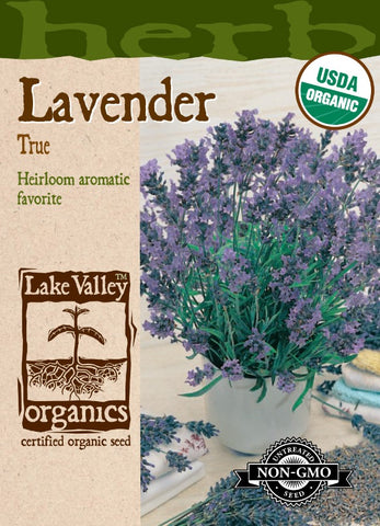 Organic Lavender True Heirloom