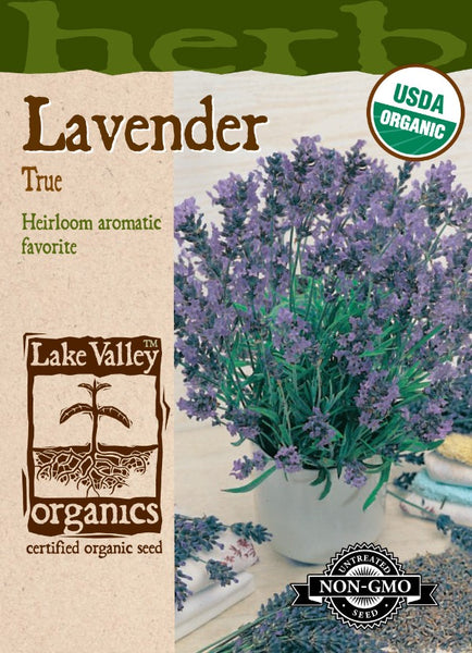 Organic Lavender True Heirloom – Prairie Blossom Nursery