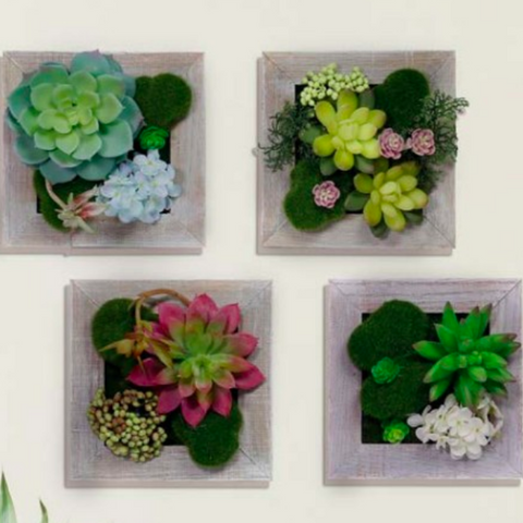 Alpine Succulent Wooden Frame Wall Hanging