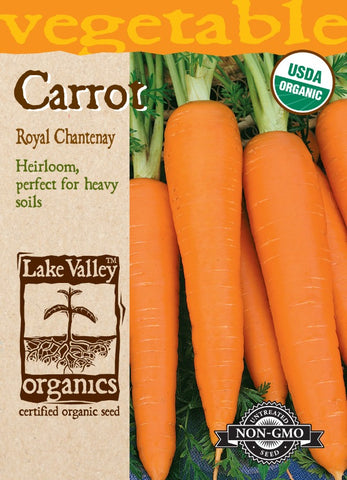 Organic Carrot Royal Chantenay Heirloom