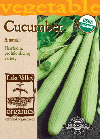 Organic Cucumber Armenian Heirloom