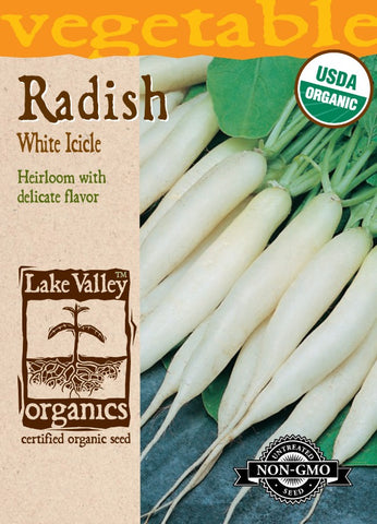 Organic Radish White Icicle Heirloom