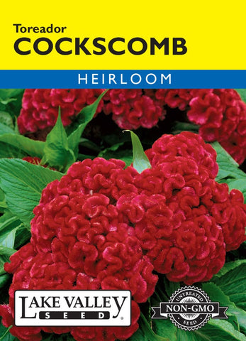 Cockscomb Toreador