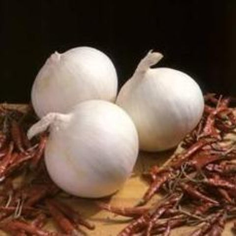 White Granex Onion Set per bunch