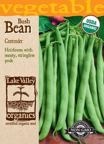 Organic Bean (Bush) Contender Heirloom