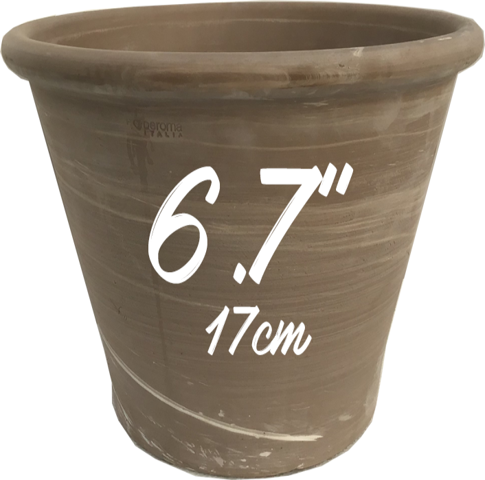 deroma plant pots Deroma Vasum Duo Bianco Moka Grafite – Prairie Blossom Nursery