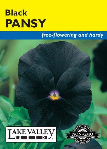 Pansy Black Heirloom