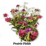 GF FS178 Small Prairie Fields Bouquet