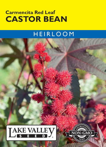 Castor Bean Carmencita Red Leaf Heirloom